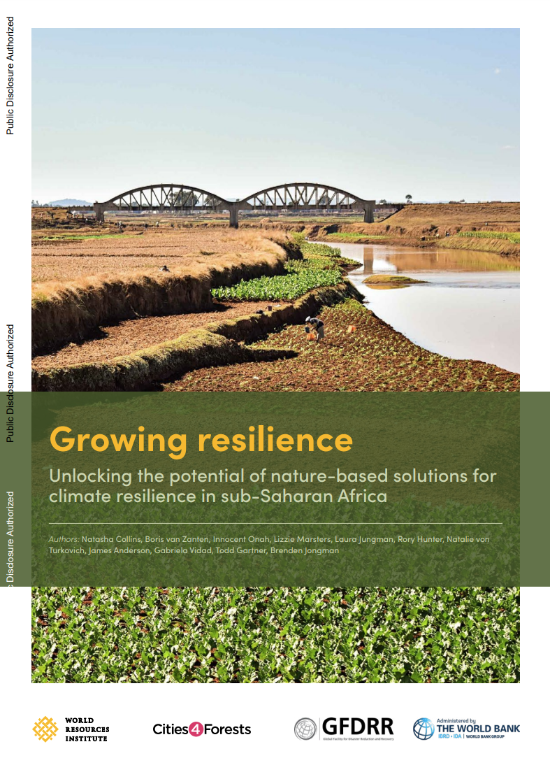 Growing Resilience: Unlocking the Potential of Nature-Based Solutions for Climate Resilience in Sub-Saharan Africa