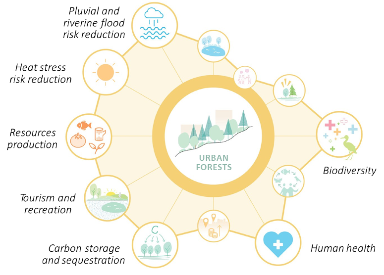 Figure 7: Benefits provided by urban forests. Source: A Catalogue of Nature-Based Solutions for Urban Resilience. 